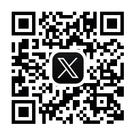 公式X