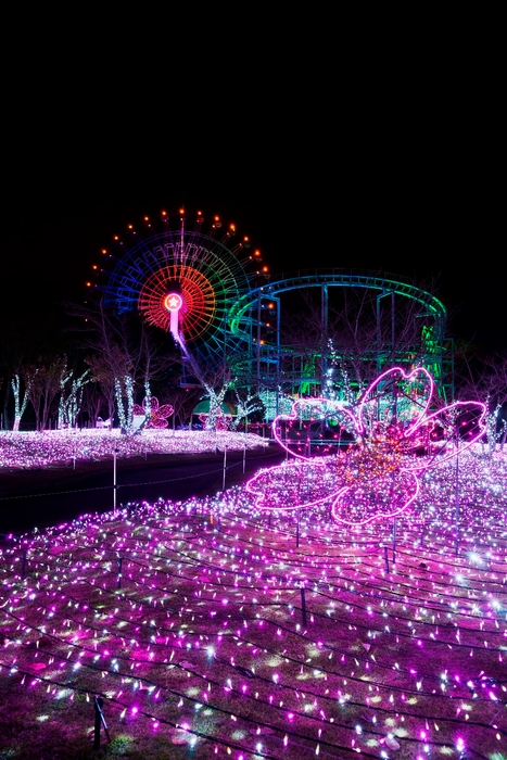 ウィンターイルミネーション