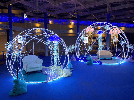 Jeweriumオブジェ「泡の小部屋たち」