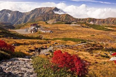 室堂平の紅葉(9月中旬~9月下旬)