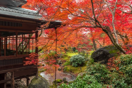 貸し切りのなか、密を避け、京都の紅葉を愛でる 京都ブライトンホテルの朝活 秋の特別早朝拝観プランを販売開始