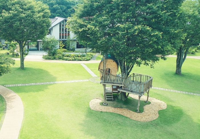 広場の中心には住まいづくりの楽しさの象徴となるツリーハウス