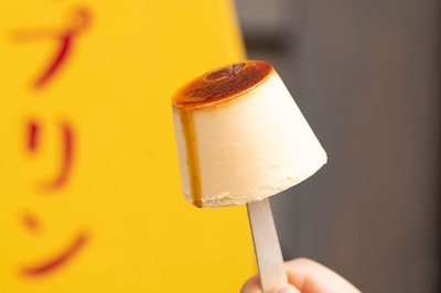 夏の新作!熱海プリンのアイス