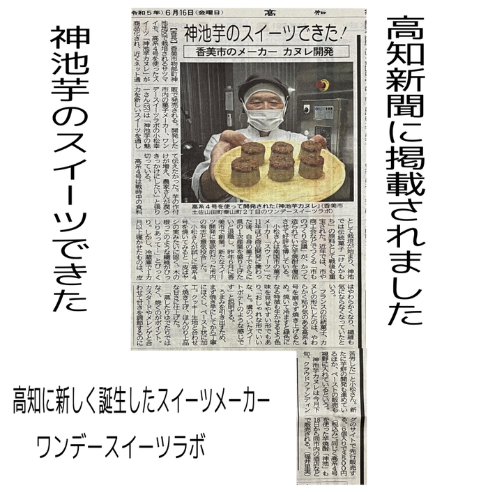 高知新聞に掲載