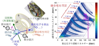 図3 多核子移行反応で生成される様々な複合核を同定するとともに、回転軸（角運動量の向き）に対する核分裂片の放出角度θを測定する原理。右の図は、シリコンΔE-E検出器で複合核の核種を分析した結果。