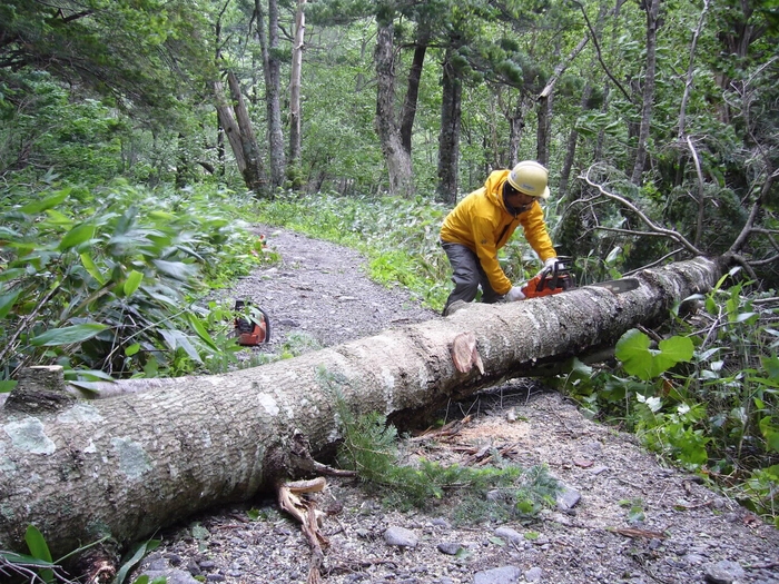 山小屋の公益的な活動~登山道を塞ぐ倒木の撤去