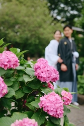 【驚異の9万円台】肥後細川庭園での本格和装前撮りが￥99,800！人気ロケーション肥後細川庭園でのロケーションフォトプランの受付開始｜INAI WEDDING WASOU浅草本店