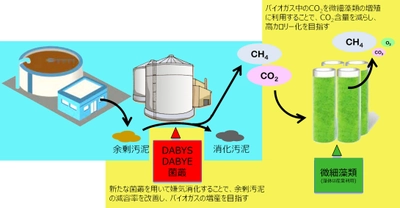 バイオガスのCO2を微生物で除去し、バイオガスの改質を目指す　 8月24日から開催される「大学見本市2023」で公開