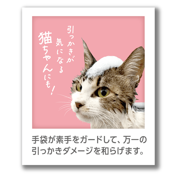 猫ちゃんにもおすすめ