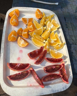 レモンの実食