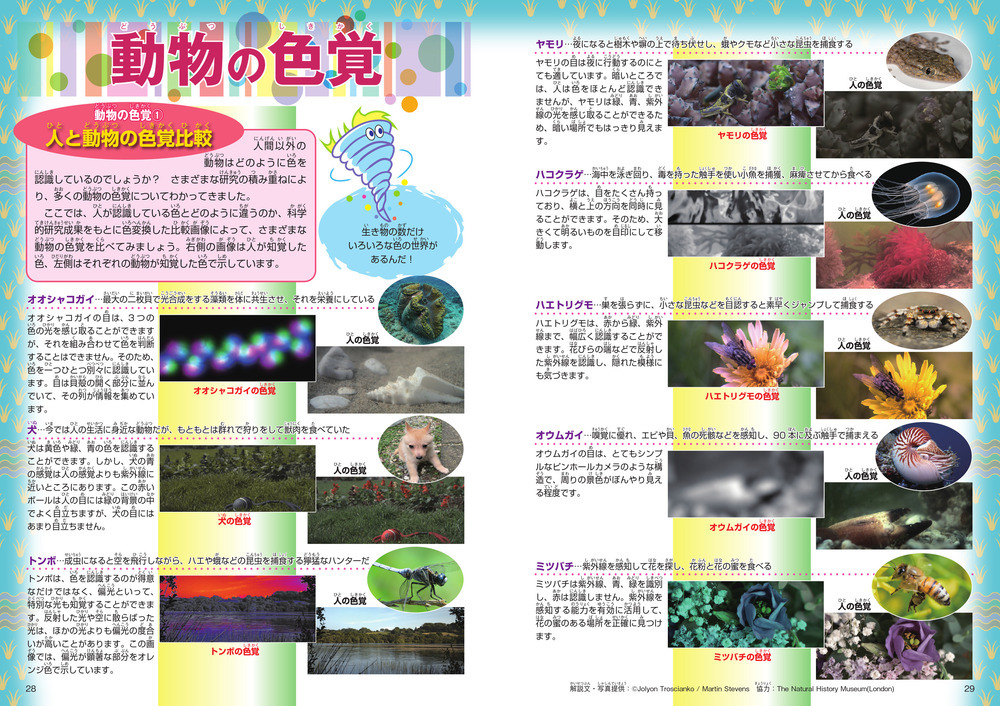 ずかん「色」(技術評論社) 動物の色覚