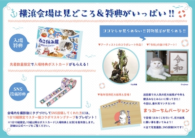 見どころ&特典