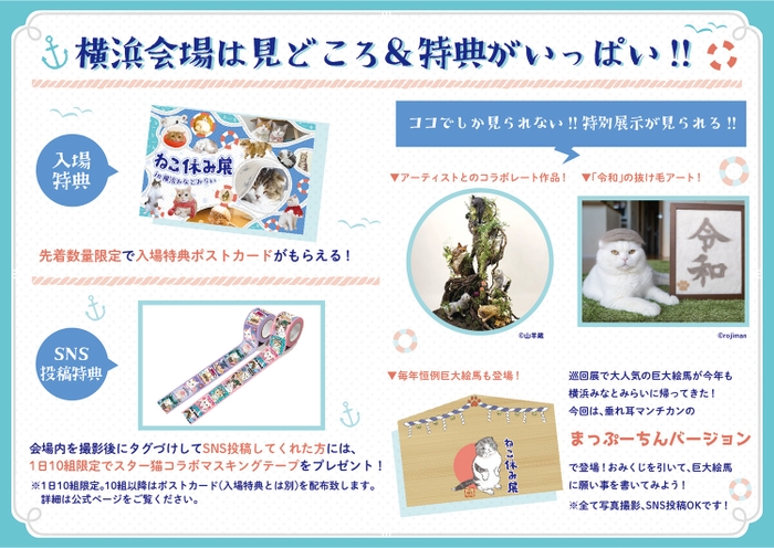 見どころ&特典