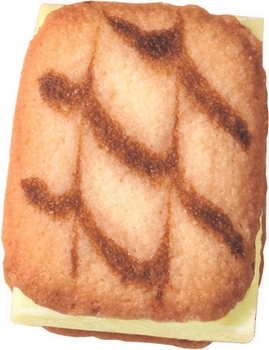 ブランチュールミニチョコレート濃厚ココナッツミルク生地2