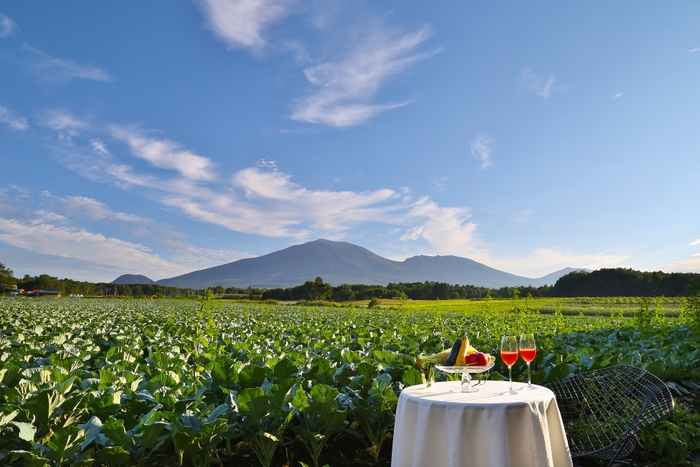 【星のや軽井沢】野菜畑ショートトリップイメージ