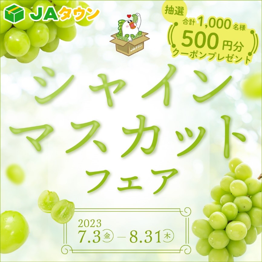 産地直送通販サイト「JAタウン」で「シャインマスカットフェア」を開催!