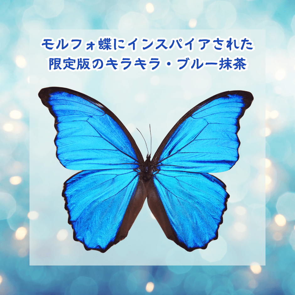 ＜モルフォ蝶の神秘的なイメージの抹茶＞