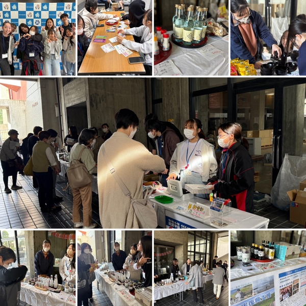 過去の活動の様子