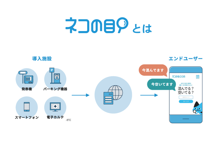 ネコの目とは