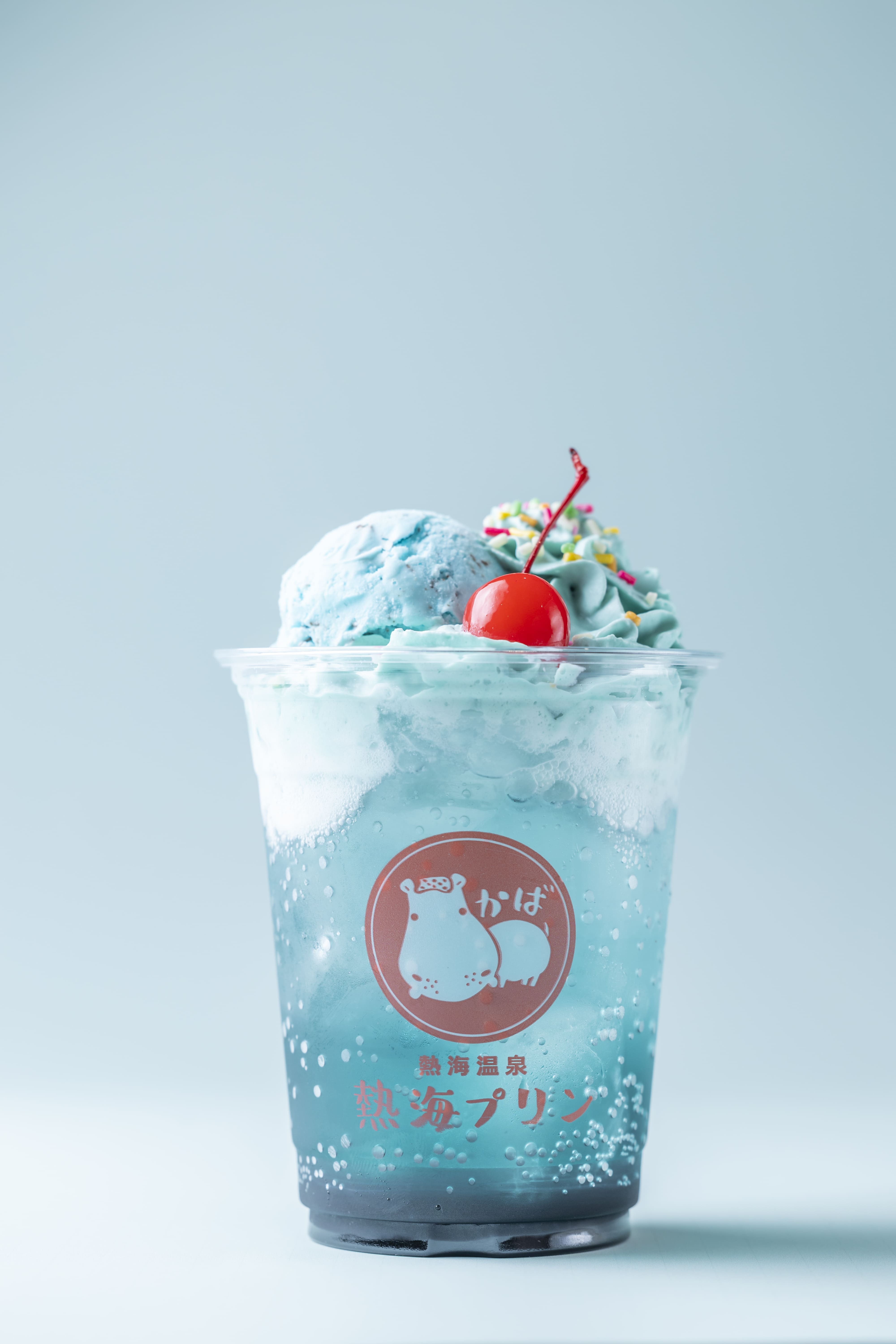 毎年即完売！熱海プリンの「チョコミントプリン」 今年は6月20日(土