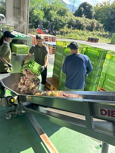 甲州仕込み