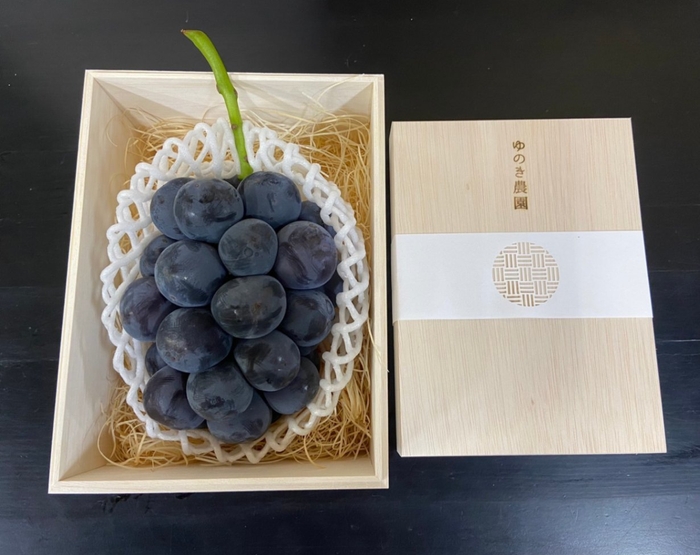 ゆのき農園 贈答用木箱入 特大835g以上