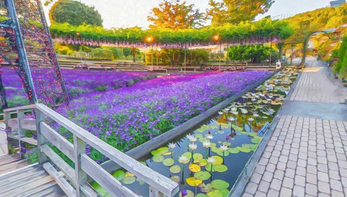 園内｜秋の風景