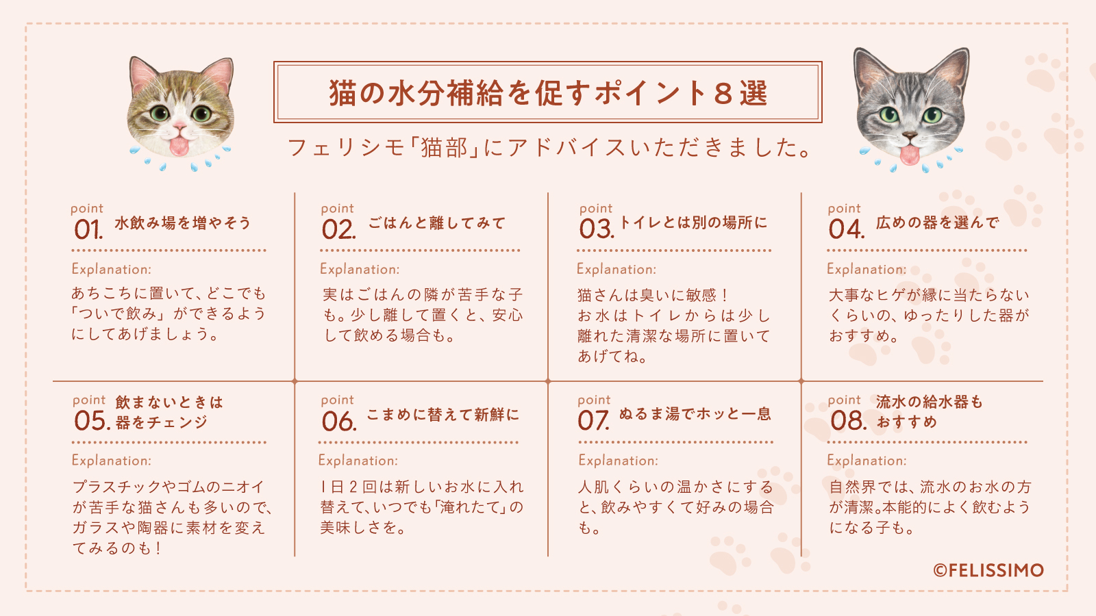 猫の水分補給を促すポイント8選