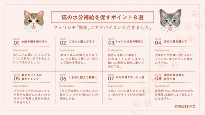 猫の水分補給を促すポイント8選