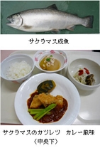 サクラマス成魚とサクラマスのカツレツカレー風味