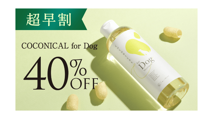 COCONICAL for Dog超早割