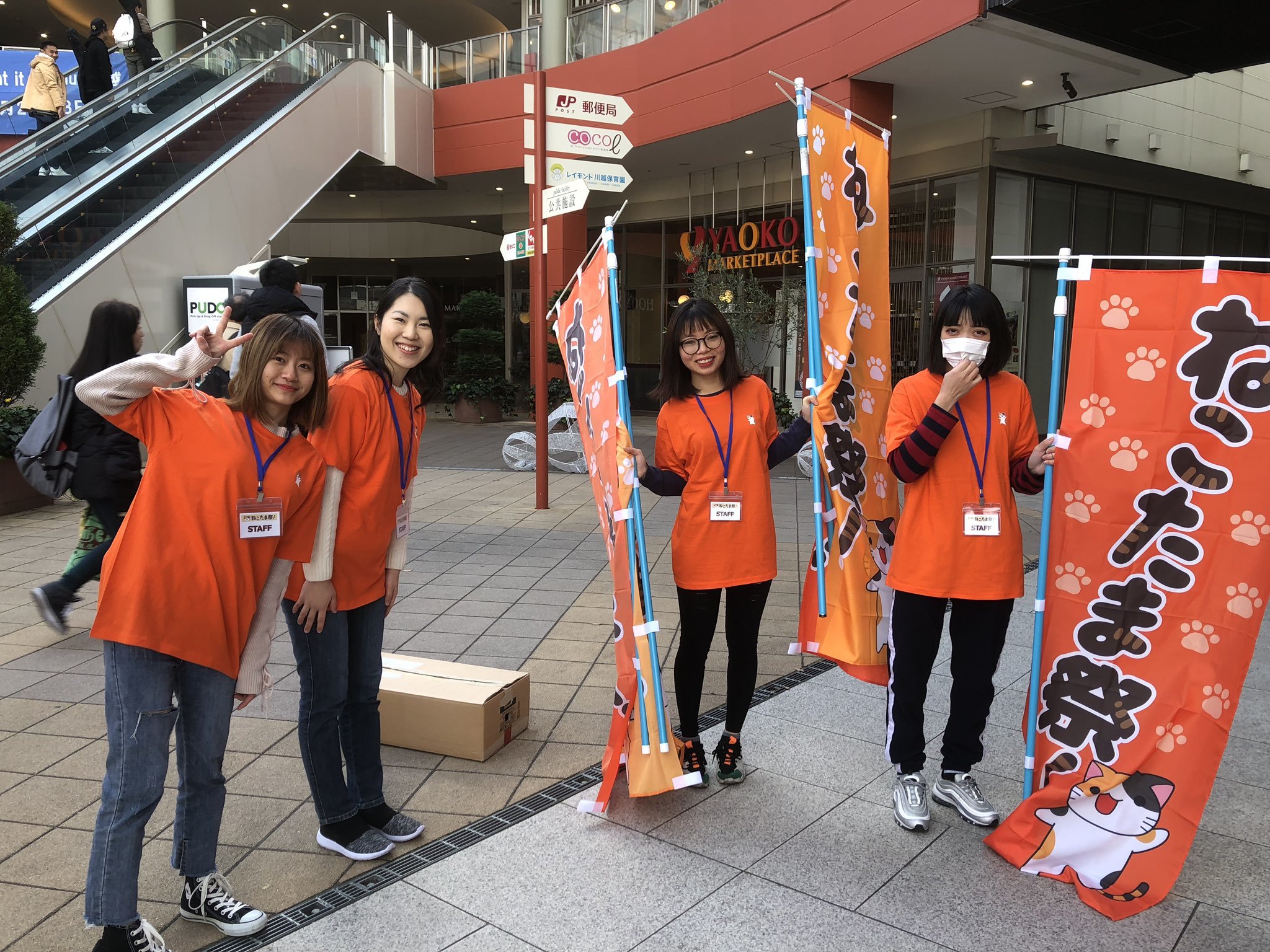 ねこたま祭!ボランティア