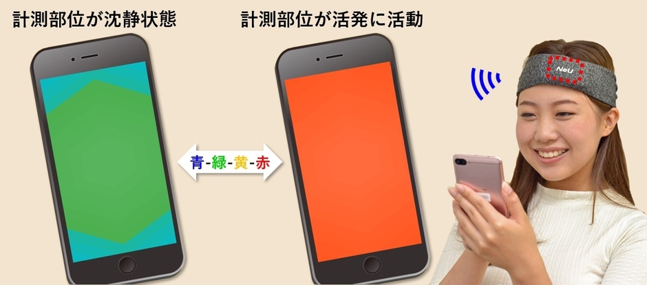 写真5:ブレインメーター