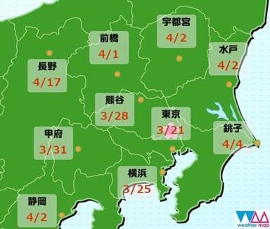 さくら開花予想2017(3/20発表)