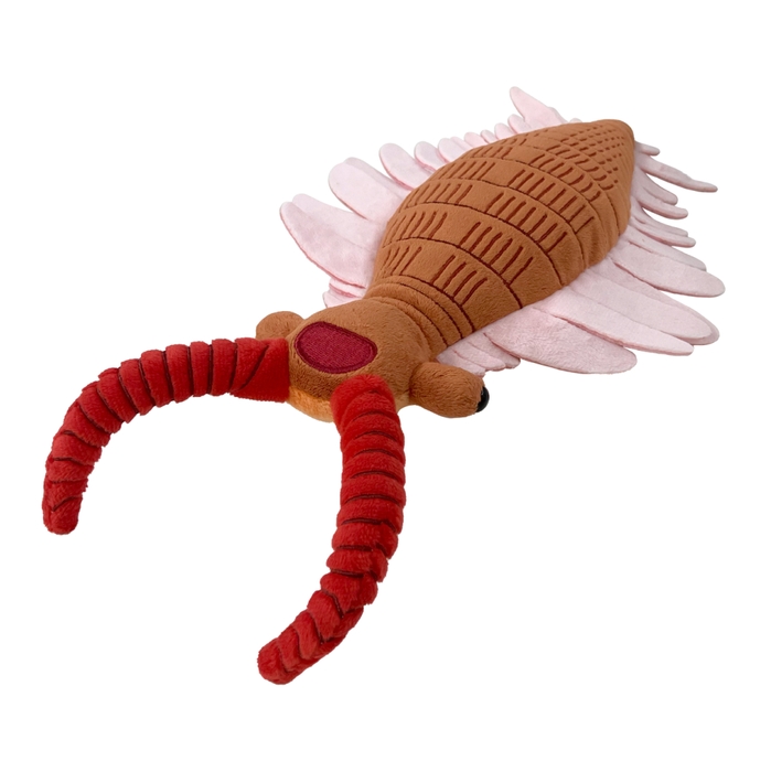 絶滅生物ぬいぐるみ_アノマロカリス