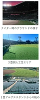 阪神甲子園球場でエクササイズができる！ 「夜トレ！甲子園2026」 7月17日（金）・18日（土）開催 ～好評の「朝トレ！甲子園」初のナイター開催～
