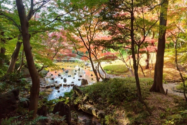 小石川後楽園「深山紅葉を楽しむ」11月18日（金）～12月４日（日）