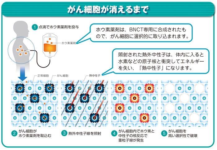 京都大学複合原子力科学研究所 提供