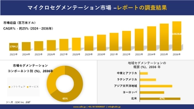 マイクロセグメンテーション市場の発展、傾向、需要、成長分析および予測2024ー2036年