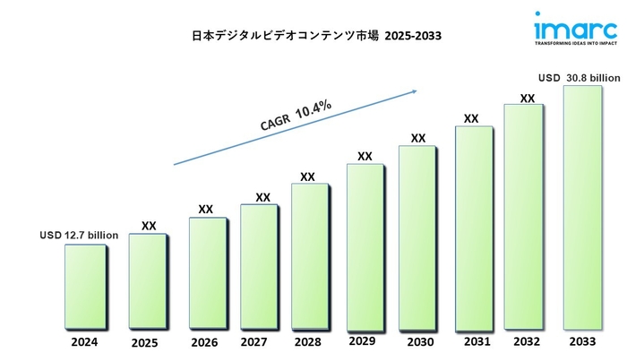 日本デジタルビデオコンテンツ市場