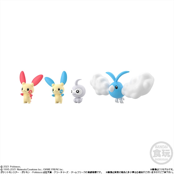 ポケモンスケールワールド ホウエン地方2 (3)