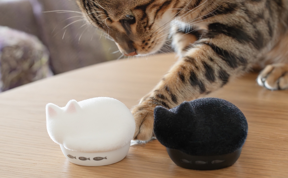 15_HP-C28BTF_猫とNEKO_3