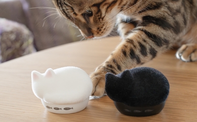15_HP-C28BTF_猫とNEKO_3