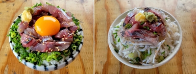 今が旬の鯵!