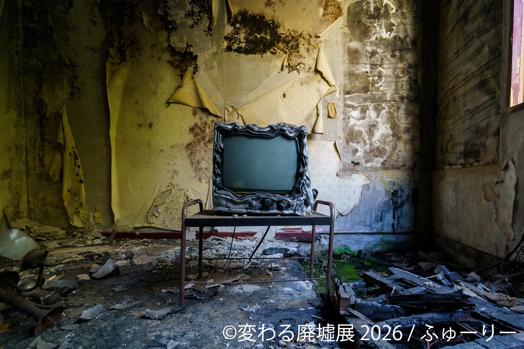 展示作品:ふゅーりー