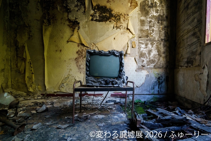 展示作品:ふゅーりー