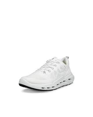 BIOM 720 W
