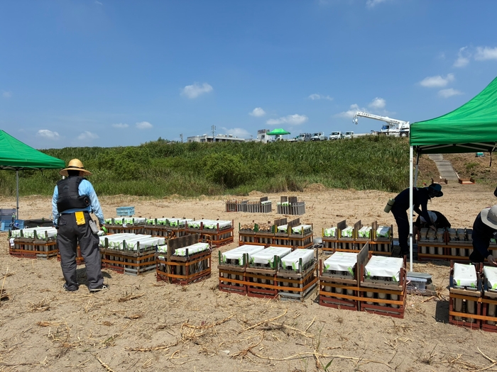 セッティングの様子