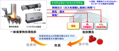 ごみ処理施設で生じる燃焼ガス中のCO2をイチゴ栽培に利用する実証を開始