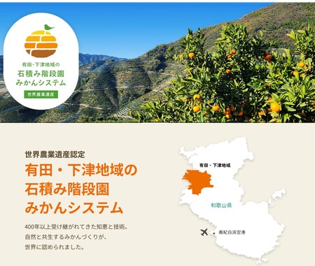 国際連合食糧農業機関から世界農業遺産に認定された
有田・下津地域の石積み階段園みかんシステム！
有田みかんをＪＡタウン「みかんの里 ありだ」ショップで販売